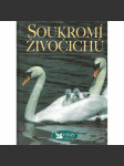Soukromí živočichů - náhled
