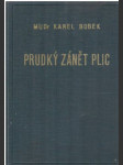 Prudký zánět plic - náhled