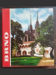 Brno a okolí - náhled
