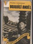 Bojující anděl - náhled