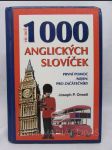Víc než 1000 anglických slovíček - První pomoc (nejen) pro začátečníky - náhled