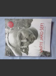 Vařte jako šéf! - náhled