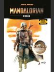 Star wars - mandalorian schreiber joe - náhled
