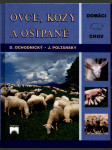 Ovce, kozy a ošípané ochodnický dušan, poltársky ján - náhled