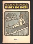 Rakev do domu švandrlík miloslav - náhled