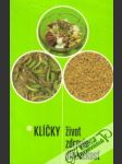 Klíčky - život, zdravie, dlhovekosť - náhled