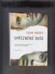 Spřízněné duše - náhled