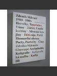 Zdeněk Sklenář 1910-1986 - Deset tisíc věcí, deset tisíc let [český malíř a grafik - monografie] - náhled