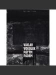 Pátým pádem - náhled