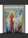 Albín Brunovský: Labyrinth der Welt - náhled
