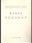 Karel Pokorný - náhled