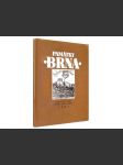 Památky Brna - náhled