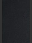 Detektivní novelly aj - náhled