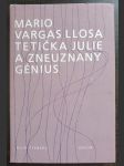 Tetička Julie a zneuznaný génius - náhled