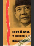 Dráma v Indonézii - náhled