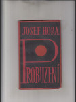 Probuzení - náhled