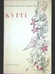 Kvítí - náhled