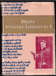 Dějiny anglické literatury (veľký formát) - náhled
