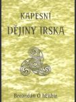 Kapesní dějiny Irska - náhled
