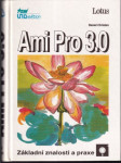 Ami Pro 3.0 christen - náhled