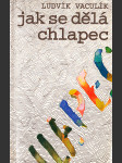 Jak se dělá chlapec - náhled