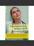 Eskulapova hůl, lampa a kříž - náhled