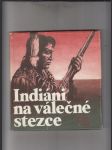 Indiáni na válečné stezce (Třicet příběhů o nejslavnějších indiánských bojovnících a nejdůležitějších indiánských válkách) - náhled