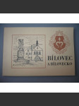 Město Bílovec a Bílovecko [Slezsko] - náhled
