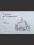 Drobnosti z českotřebovska slovem i obrazem - skalický jan / šebela jan / pištora jiří - náhled