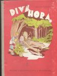 Divá hora - náhled