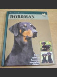 Dobrman - náhled