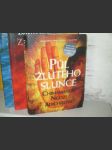 Půl žlutého slunce - náhled