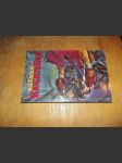 Batman Knights End - náhled
