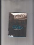 Runová Haiku - náhled