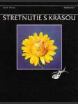 Stretnutie s krásou - náhled