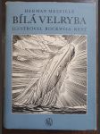 Bílá velryba - náhled