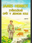 Zvěrolékař opět v jednom kole - náhled