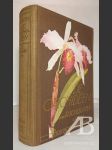 Die Orchideen, ihre Beschreibung, Kultur und Züchtung - náhled