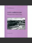 Cesty a křižovatky - náhled