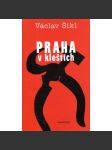 Praha v kleštích (Rozmluvy, exilové vydání!) - náhled