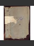 Vollständiger Auszug aller im Königreiche Böheim am Ende des achtzehnten Jahrhunderts bestehenden Gesetze, Ste-Tau., 8.Teil, 1801 (právo, zákony, království České) - náhled