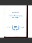 Naše Hankovo divadlo - náhled
