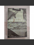 The English Patient - náhled