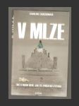 V mlze - náhled