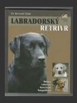 Labradorský retrívr - náhled