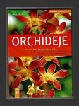 Orchideje - náhled