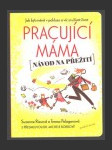 Pracující máma - náhled