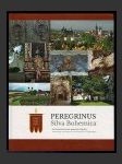 Peregrinus Silva Bohemica ...po česko-bavorských poutních stezkách - náhled
