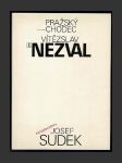 Pražský chodec - náhled