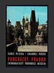 Procházky Prahou - náhled